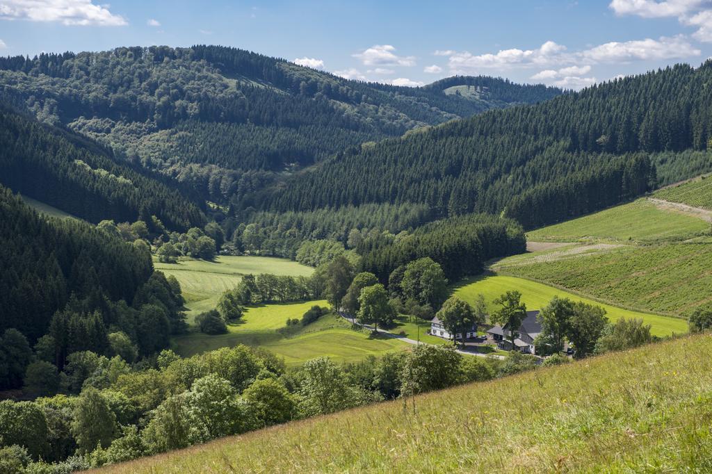 Landhaus Zum Sorpetal Hotel Шмаленберг Екстериор снимка