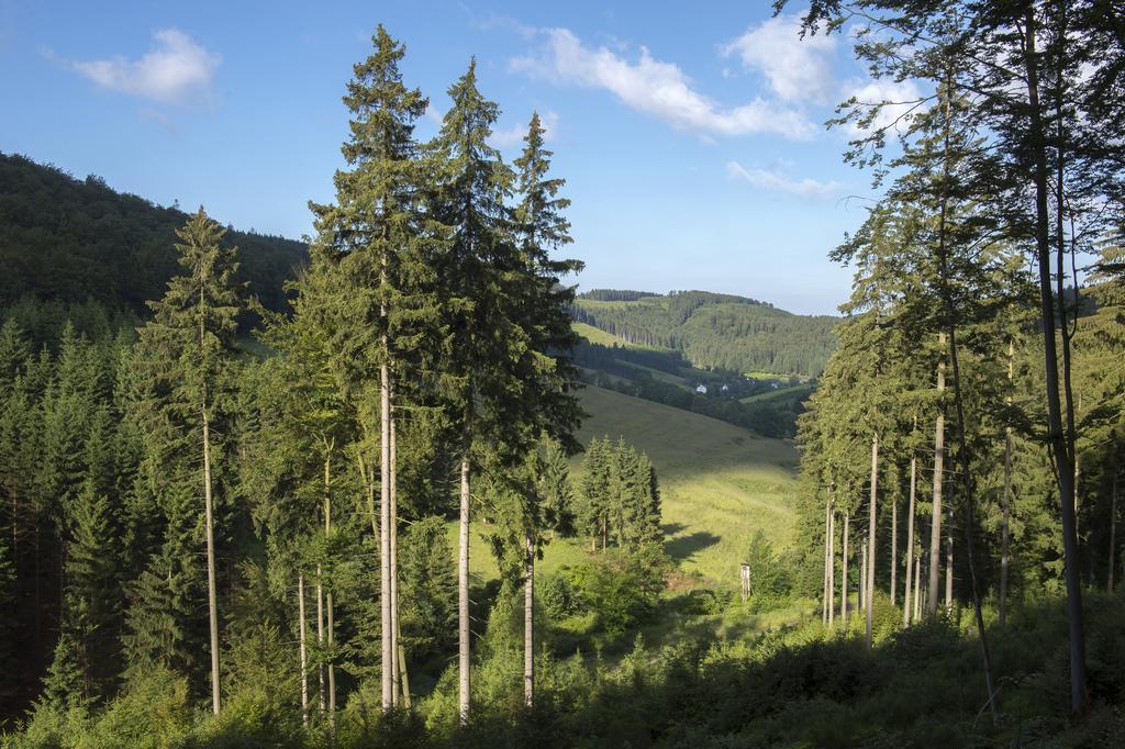 Landhaus Zum Sorpetal Hotel Шмаленберг Екстериор снимка