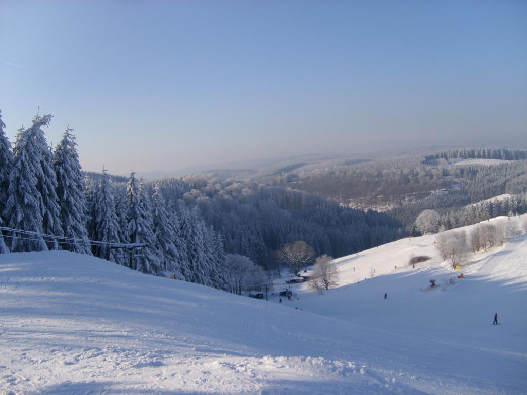 Landhaus Zum Sorpetal Hotel Шмаленберг Екстериор снимка