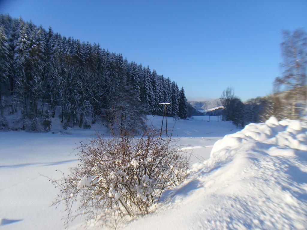 Landhaus Zum Sorpetal Hotel Шмаленберг Екстериор снимка